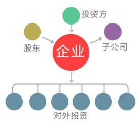 服務貓 軟件開發(fā)與信息技術咨詢服務的專業(yè)伙伴
