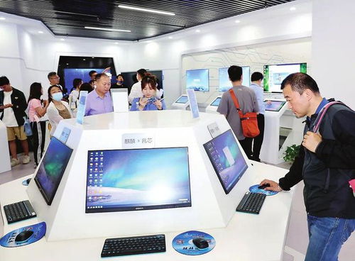 種好梧桐樹，引得鳳凰來 以軟件開發(fā)與信息技術咨詢服務為核心，打造總部經(jīng)濟新高地
